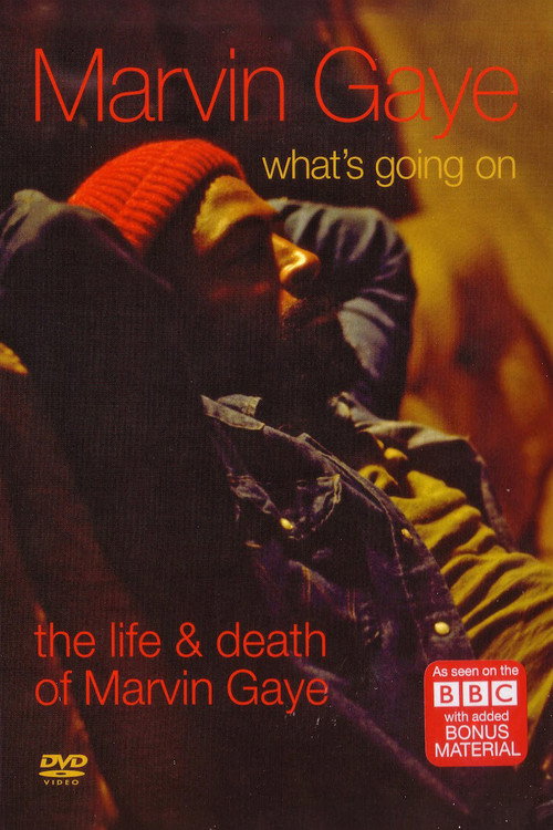 What's Going On: The Life and Death of Marvin Gaye — постер