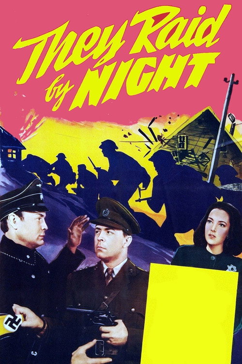 They Raid by Night — постер