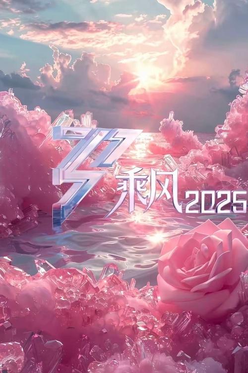 乘风2025 — постер