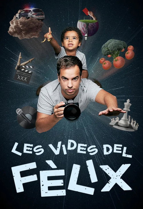 Les vides del Fèlix — постер