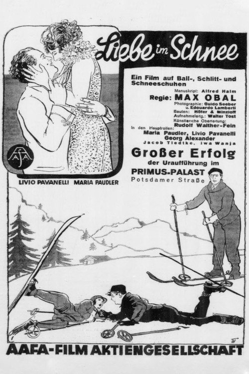 Liebe im Schnee — постер