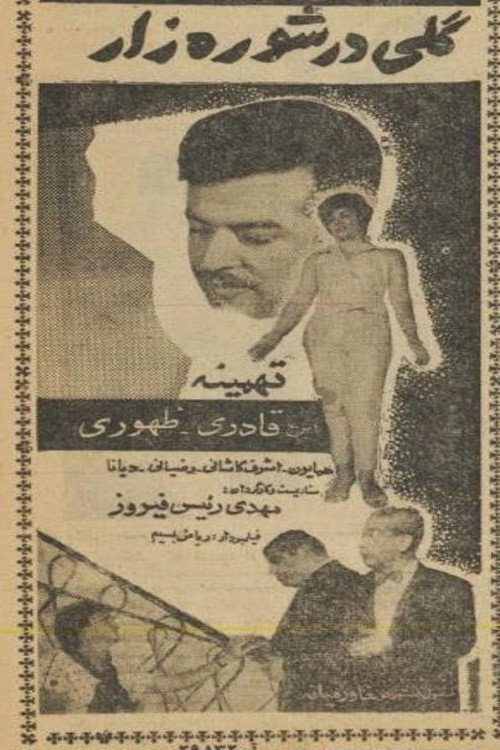 گلی در شوره‌زار — постер