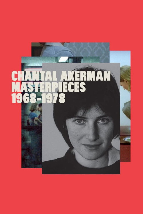 A New Way of Seeing: B. Ruby Rich on Chantal Akerman — постер