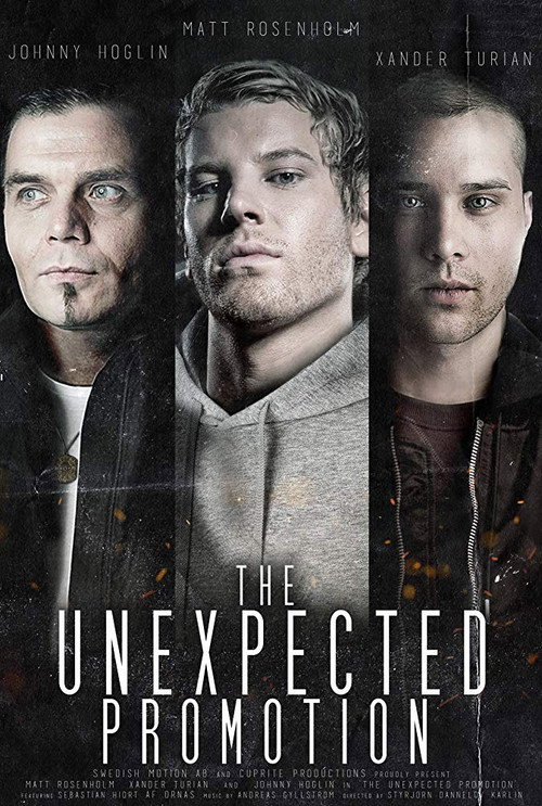 The Unexpected Promotion — постер