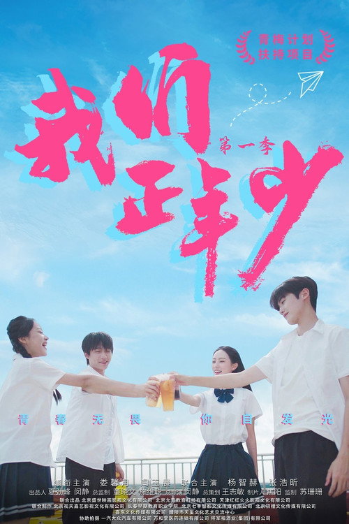 我们正年少 — постер