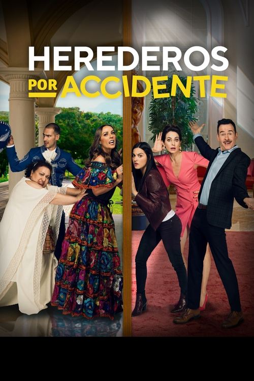 Herederos por accidente — постер
