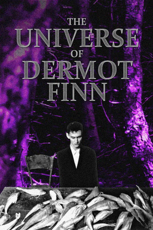 The Universe of Dermot Finn — постер