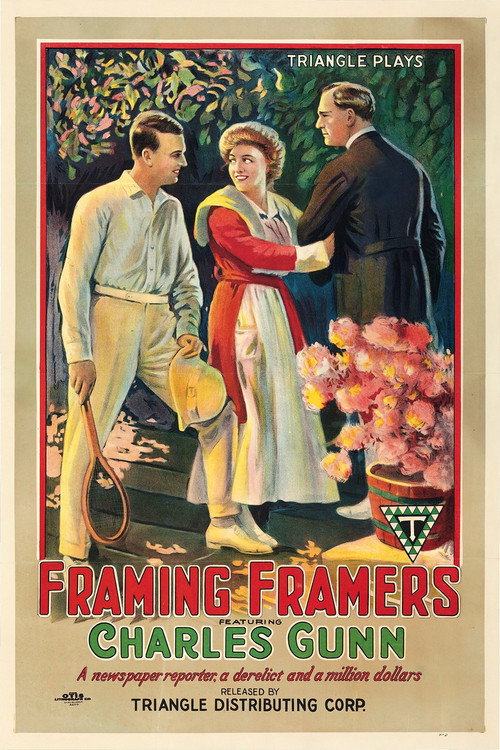 Framing Framers — постер