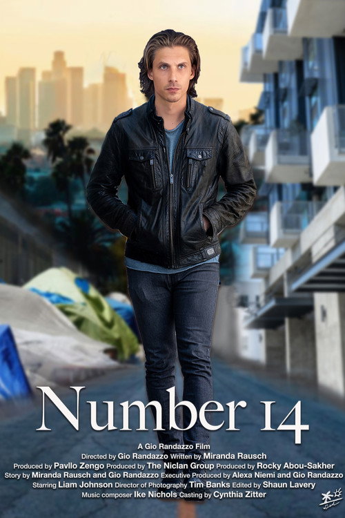 Number 14 — постер