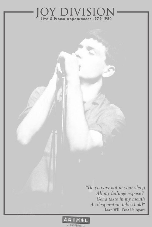 Joy Division: Live & Promo Appearances 1979-1980 — постер