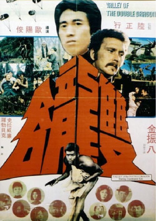 雙龍谷 — постер