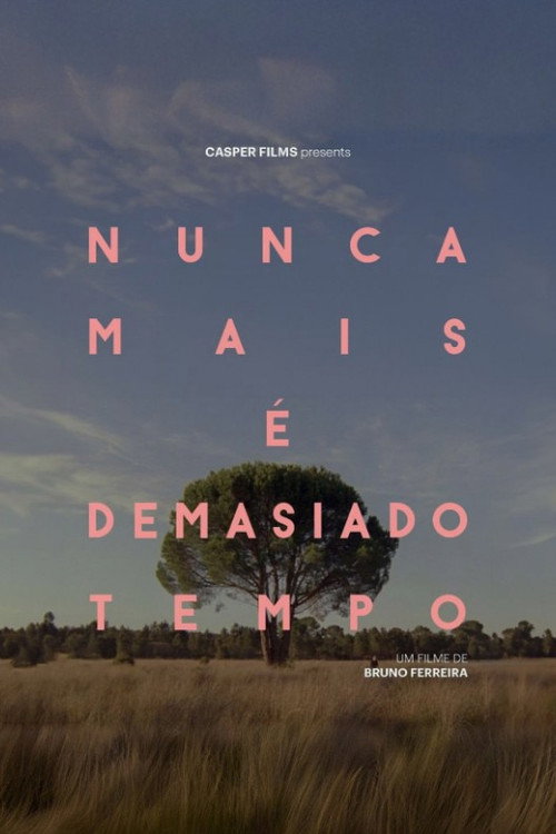 Nunca Mais É Demasiado Tempo — постер