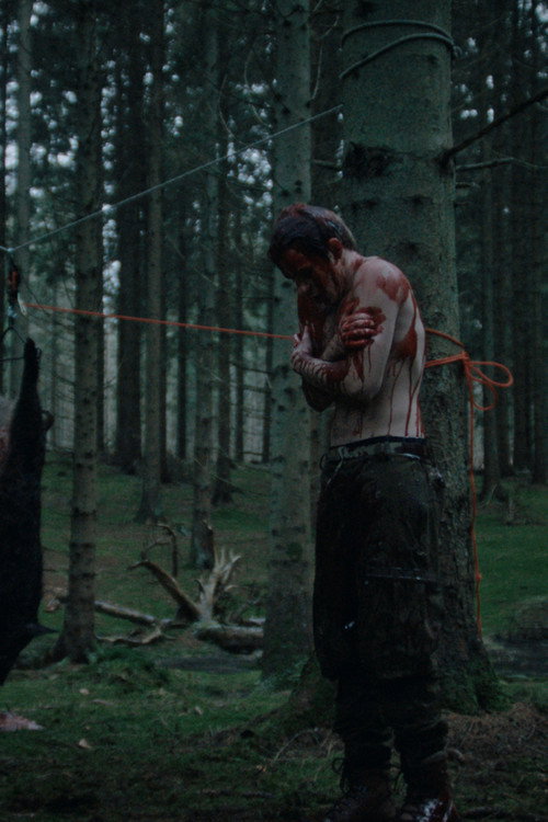 Træer Malet i Tjære — постер