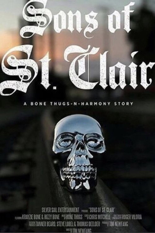 Sons of St. Clair — постер