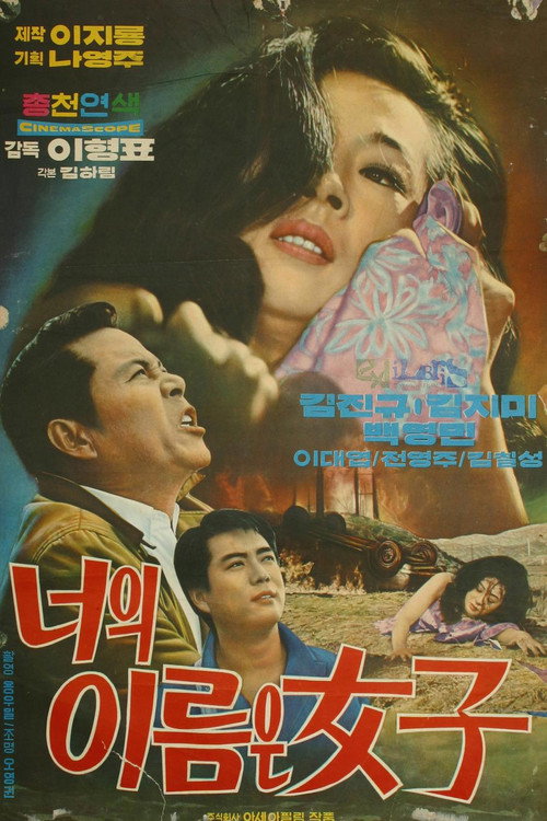 너의 이름은 여자 — постер