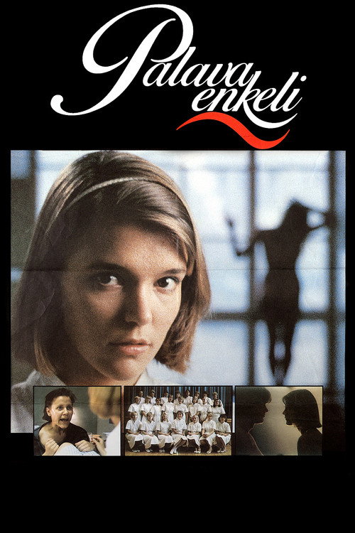 Palava enkeli — постер