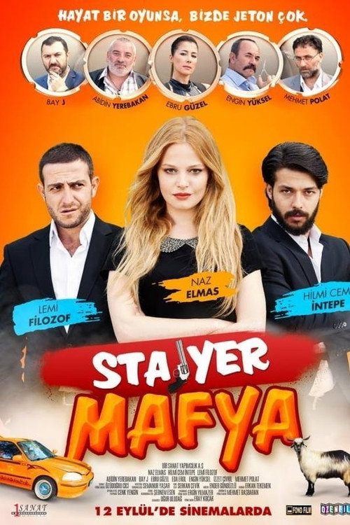 Stajyer Mafya — постер