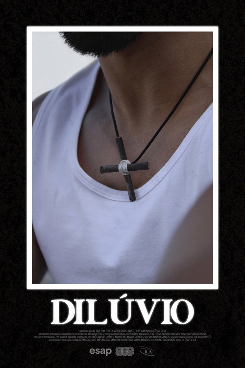 Dilúvio — постер