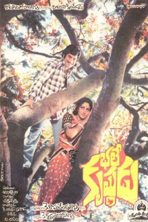 భలే కృష్ణుడు — постер