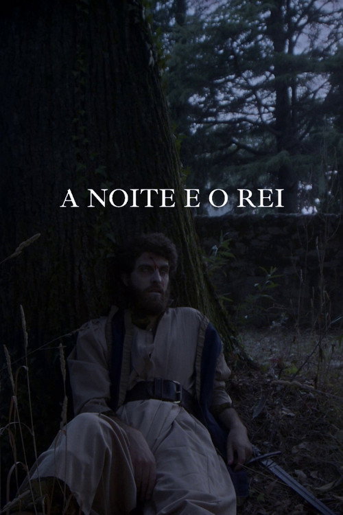 A noite e o rei — постер