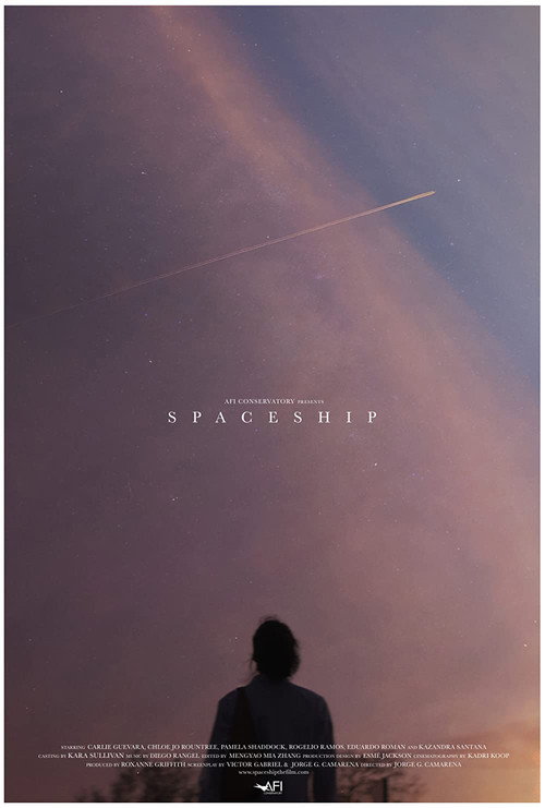 Spaceship — постер