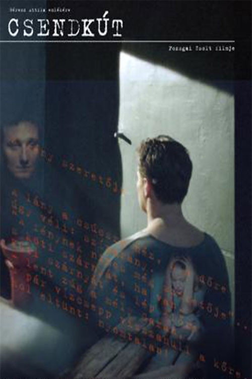 Csendkút — постер