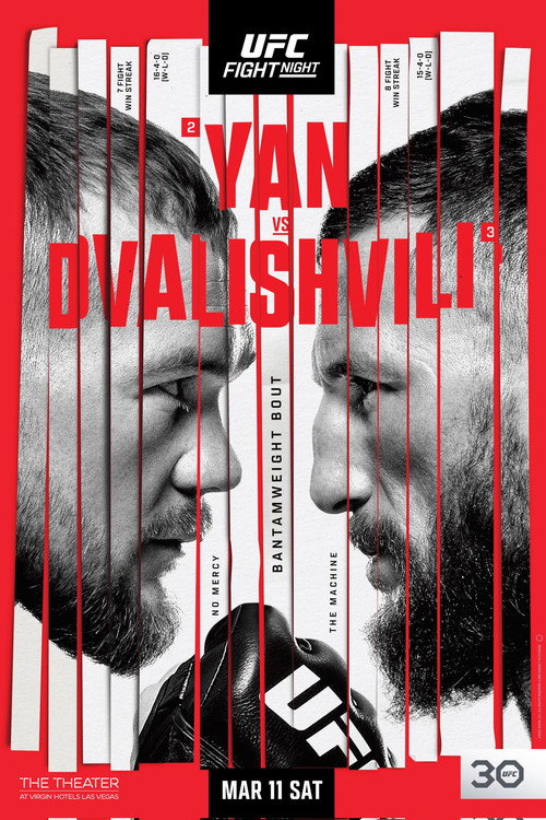 UFC Fight Night 221: Yan vs. Dvalishvili — постер