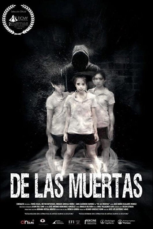 De las muertas — постер