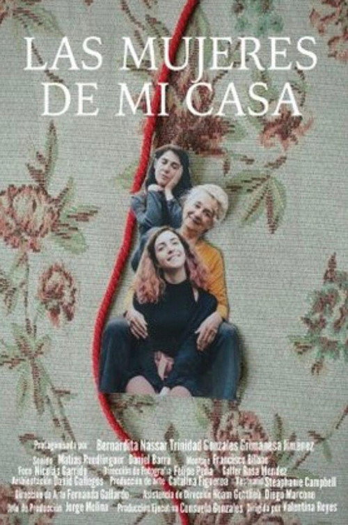 Las mujeres de mi casa — постер