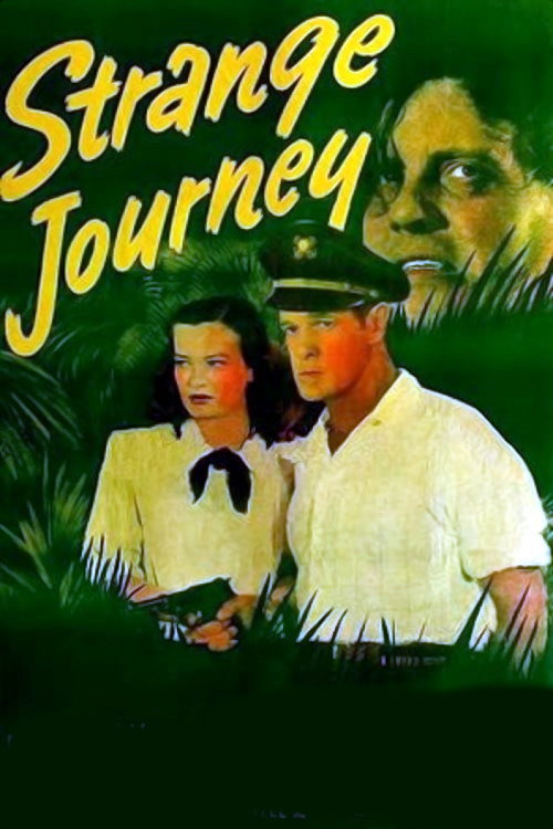 Strange Journey — постер