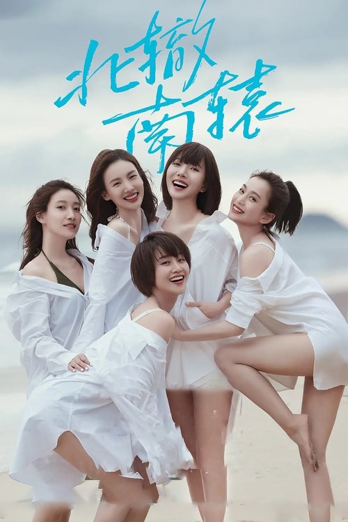 北辙南辕 — постер