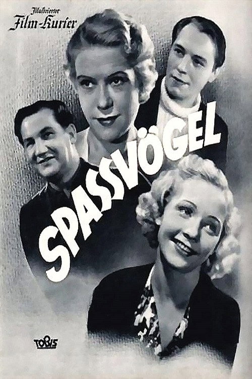 Spaßvögel — постер