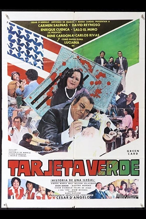 Tarjeta verde — постер
