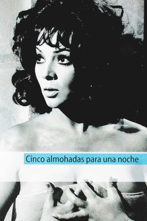 Cinco almohadas para una noche — постер