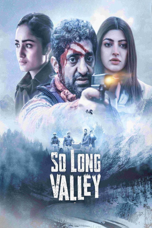 So Long Valley — постер