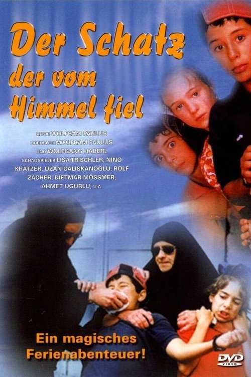 Der Schatz, der vom Himmel fiel — постер