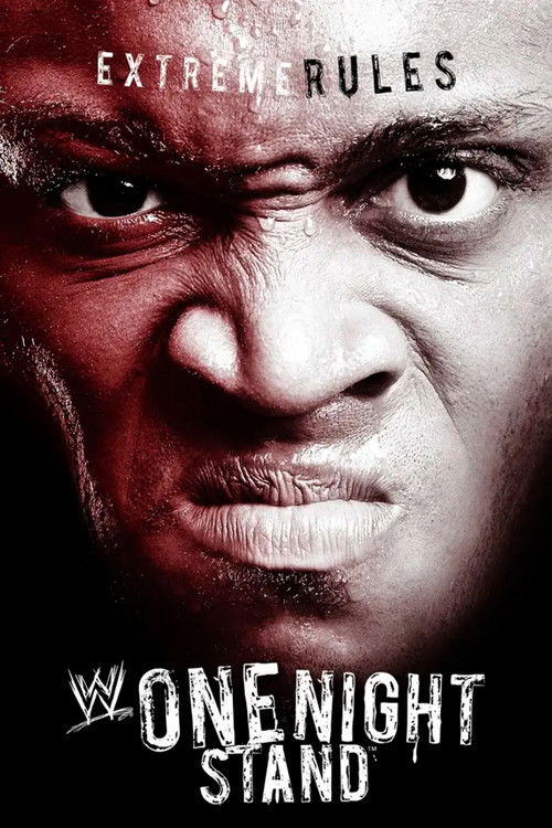 WWE One Night Stand 2007 — постер