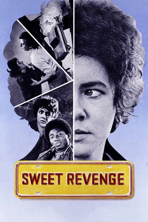 Sweet Revenge — постер