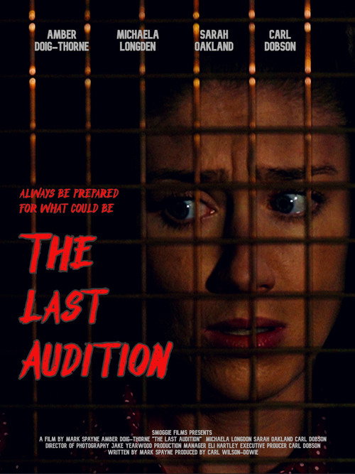 The Last Audition — постер