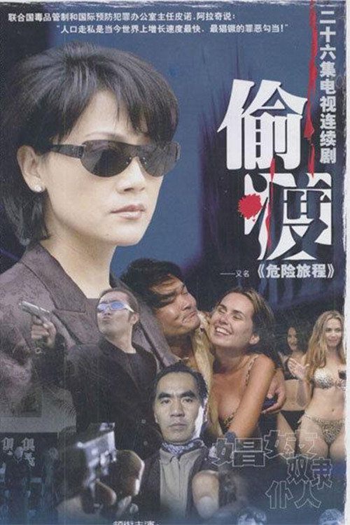 危险旅程 — постер