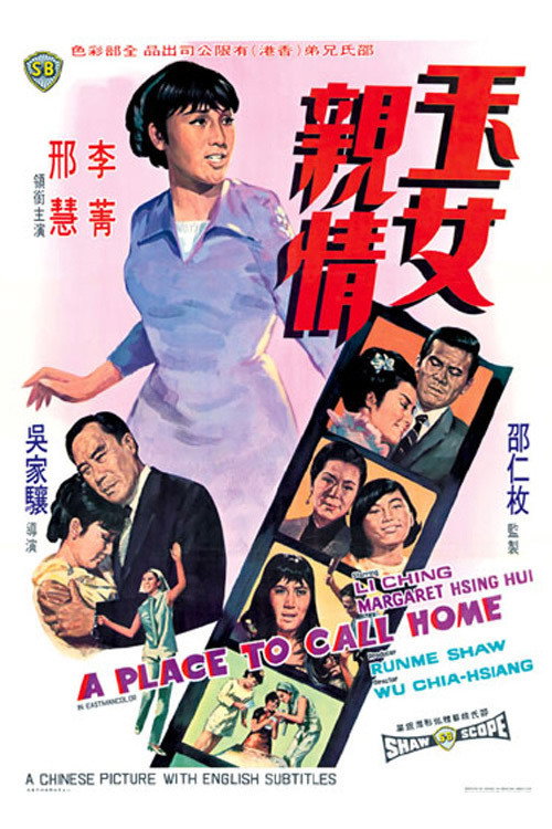 玉女親情 — постер
