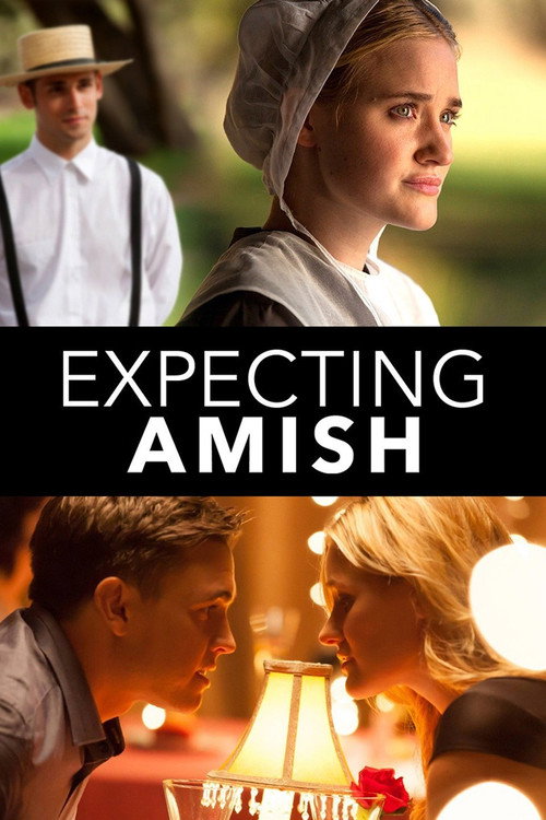 Expecting Amish — постер