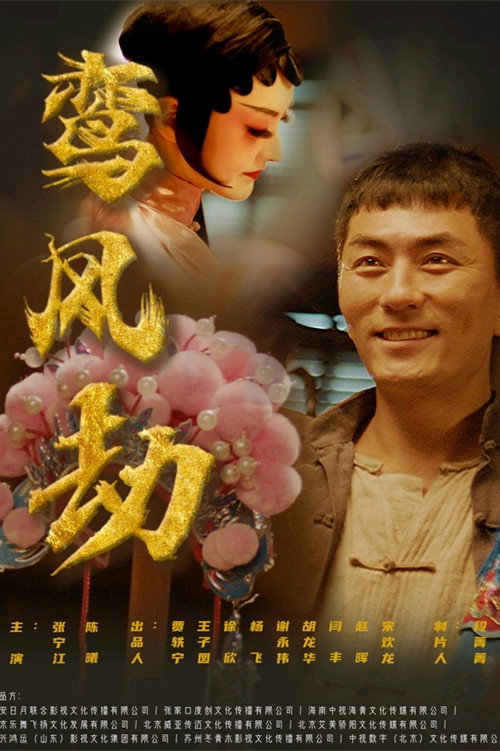 鸾凤劫 — постер