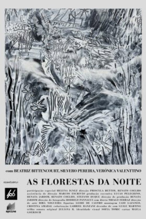 As Florestas da Noite — постер