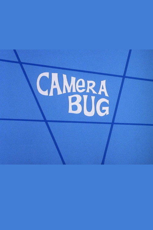 Camera Bug — постер