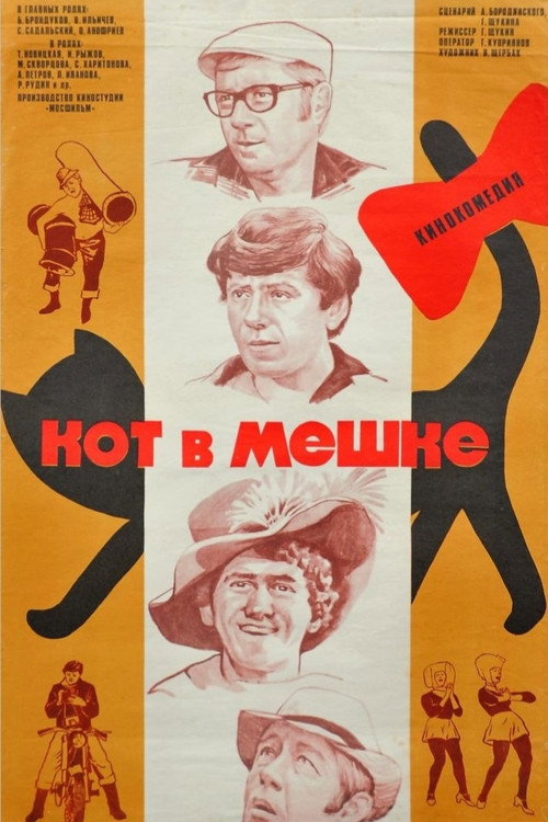 Кот в мешке — постер