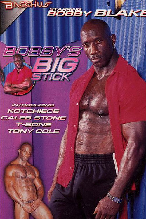 Bobby's Big Stick — постер