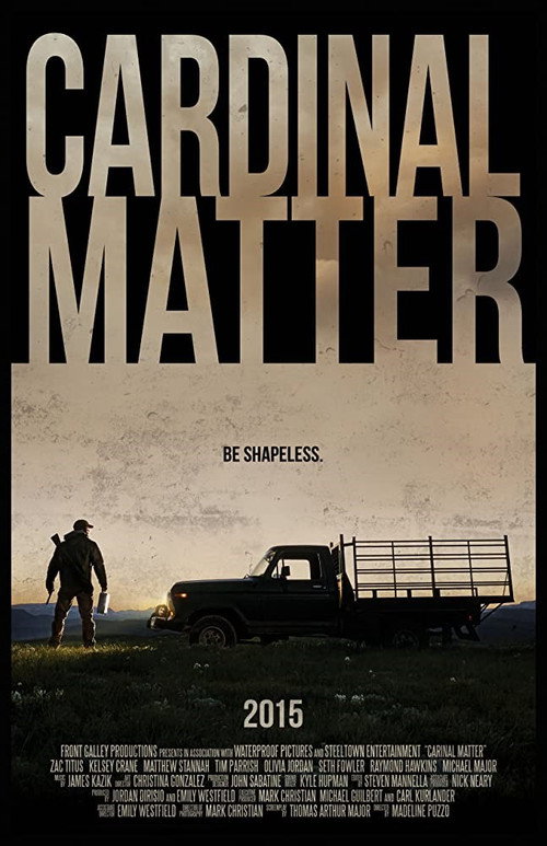 Кардинальный вопрос — постер
