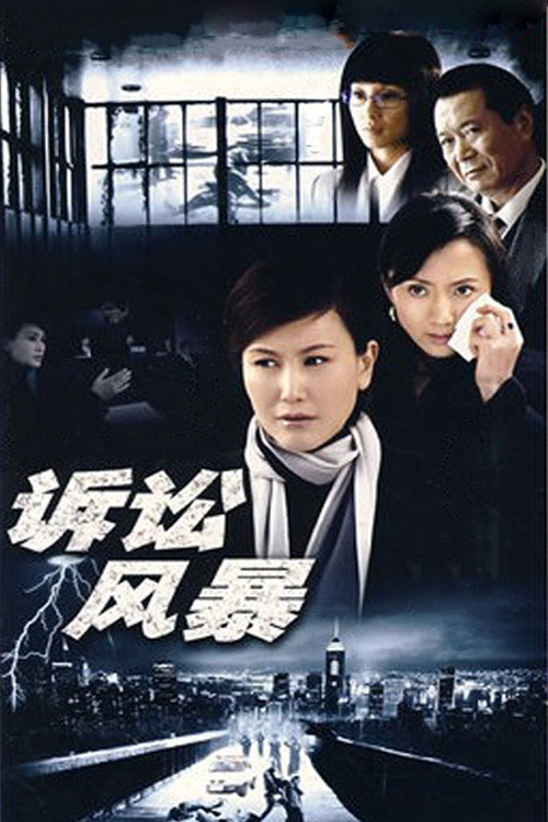 诉讼风暴 — постер