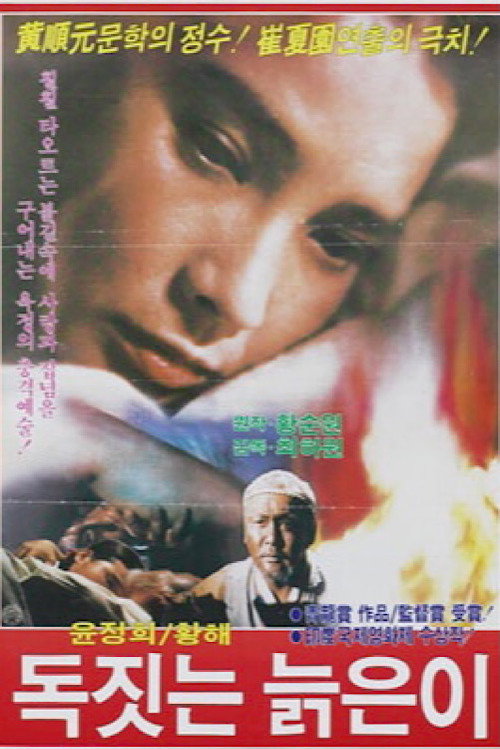 독짓는 늙은이 — постер